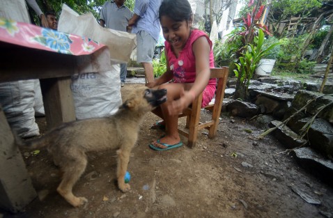 En la comunidad de Pueblo Viejo, municipio de Misantla, doña Julia y sus cuatro hijos conservan la tradición de sembrar maíz negro, del cual, a decir de la familia Salazar, cada vez es más difícil encontrar semilla para resembrar, debido a que las tortillerías y la maseca ganan terreno día con día.