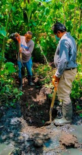 Continúan los trabajos de mantenimiento al sistema de drenaje sanitario por personal de Obras Públicas en la privada Alicia Gómez Ruiz Ayavalo. El día de ayer se resolvió el escurrimiento y se canaliza el mantenimiento a un punto diferente de la red de drenaje para continuar con el mantenimiento.