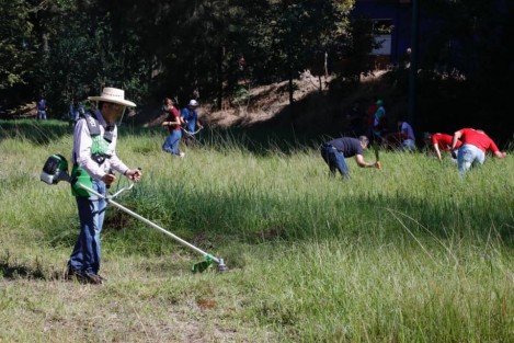 Este domingo se realizaron jornadas de limpieza en escuelas. El Gobernador Cuitláhuac García dio cuenta de ello en sus redes sociales: <em>Este domingo, desde tempranito nos fuimos a hacer #TequioPorMiEscuela, en el CETIS 134 de Banderilla, en donde he dado clases a jóvenes durante varios años y que le tengo mucho cariño.</em>