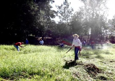 Este domingo se realizaron jornadas de limpieza en escuelas. El Gobernador Cuitláhuac García dio cuenta de ello en sus redes sociales: <em>Este domingo, desde tempranito nos fuimos a hacer #TequioPorMiEscuela, en el CETIS 134 de Banderilla, en donde he dado clases a jóvenes durante varios años y que le tengo mucho cariño.</em>