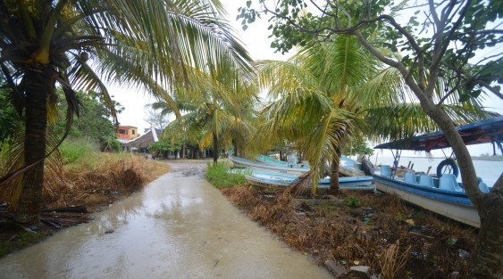 La tarde de este viernes, habitantes de Tecolutla se declaraban listos para recibir el huracán Grace, esto a pesar que por las calles no se observan militares, elementos de SSP  o de protección civil.