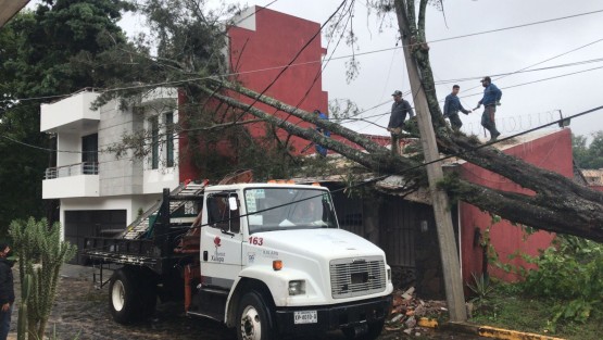 Diversas afectaciones dejó en la ciudad de Xalapa el paso del huracán Grace. Autoridades recomiendan continuar realizando medidas preventivas, acatar instrucciones de autoridades locales y consultar actualizaciones meteorológicas. 
