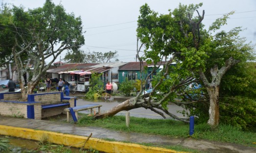 Por ahora no hay señal de teléfono en Tecolutla y Gutiérrez Zamora, entre otros municipios.  