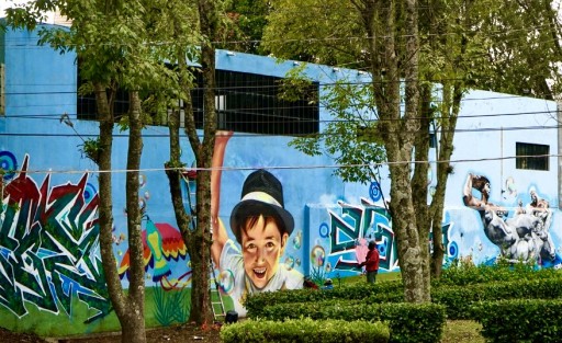 La revista Fundamentos, periodismo documental, en colaboración con artistas urbanos veracruzanos, rehabilitó el área verde de la Avenida Primero de Mayo en la ciudad de Xalapa.