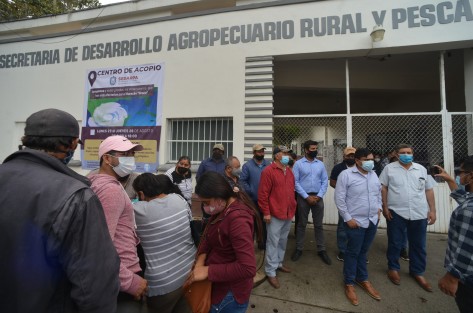 Un grupo de productores agrícolas de San Rafael, Martínez de la Torre, Papantla, Tlapacoyan, Nautla y Gutiérrez Zamora, se manifestaron en las oficinas de la SEDARPA en Xalapa, ante la desinformación sobre los apoyos que se otorgarán a afectados por el huracán Grace. Dicen que no han sido censados.  
