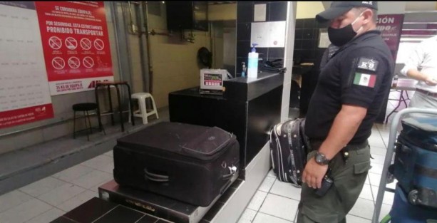 La Secretaría de Seguridad Pública (SSP), a través de la Compañía K-9 de Fuerza Civil, aseguró  seis maletas con paquetes de hierba seca similar a la marihuana, durante una inspección realizada en la Central de Autobuses de Xalapa (CAXA).