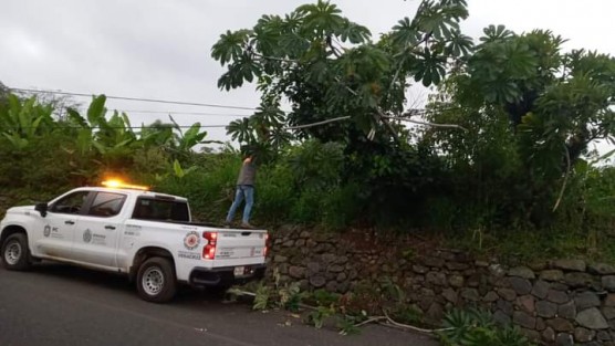 Protección Civil Teocelo atiende reportes ciudadanos de caída de árboles sobre línea telefónica en el tramo carretero de la gasera; después de unos minutos en los que desramaron y retiraron los troncos se pudo abrir la vialidad en ambos sentidos.
