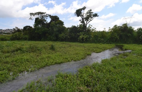 Habitantes de la congregación El Castillo, municipio de Xalapa, Ver., alertan desde hace tiempo sobre los escurrimientos que ponen en riesgo de contaminación las aguas que surten esa localidad e incluso varias colonias de Xalapa, 