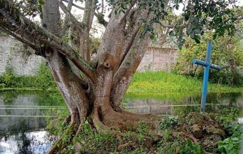 El manantial de El Castillo en peligro por contaminación.  
