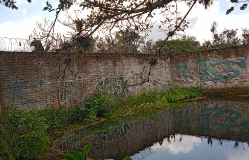 El manantial de El Castillo en peligro por contaminación.  