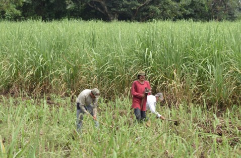  A solo 300 metros del lugar  se encuentra un arroyo, plantíos de limón y caña,  por lo que los ejidatarios comentaron que de ninguna forma dejarán que les contaminen su agua que es de donde riegan sus plantíos, además que contaminarían los mantos freáticos.