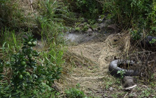  A solo 300 metros del lugar  se encuentra un arroyo, plantíos de limón y caña,  por lo que los ejidatarios comentaron que de ninguna forma dejarán que les contaminen su agua que es de donde riegan sus plantíos, además que contaminarían los mantos freáticos.