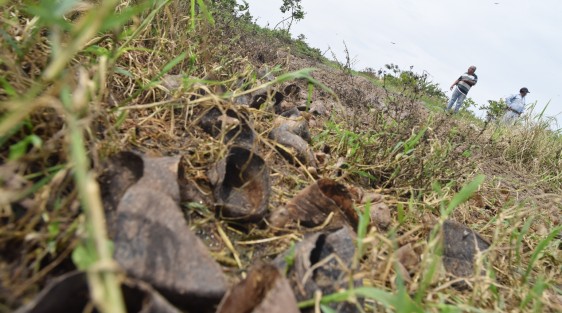 Cómo a 2 kilómetros de donde se congregaron  los habitantes de Tuzamapan y de  Vaquería, se encuentra un tiradero de vísceras y restos del rastro municipal de Coatepec.  