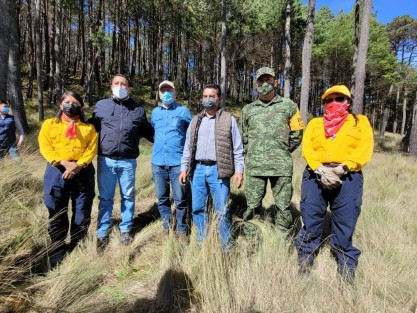 Coordinados por la Secretaría del Medio Ambiente, más de 400 voluntarios de SEFIPLAN, SEDECOP, SEDESOL, Contraloría del Estado, Poder Judicial, SSP, CONAFOR, SEDARPA, SEDENA, Ayuntamiento de Xalapa y de Las Vigas se sumaron a las actividades del Plan Reforestando San Pedro en el Monte, donde se plantaron más de 3 mil árboles para el rescate de esta Reserva Natural del estado.