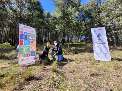 Coordinados por la Secretaría del Medio Ambiente, más de 400 voluntarios de SEFIPLAN, SEDECOP, SEDESOL, Contraloría del Estado, Poder Judicial, SSP, CONAFOR, SEDARPA, SEDENA, Ayuntamiento de Xalapa y de Las Vigas se sumaron a las actividades del Plan Reforestando San Pedro en el Monte, donde se plantaron más de 3 mil árboles para el rescate de esta Reserva Natural del estado.