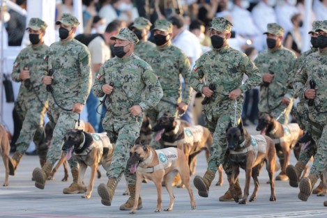 En el despliegue conmemorativo participó un contingente naval estuvo compuesto por dos mil 749 elementos en tierra y 166 a bordo de aeronaves.