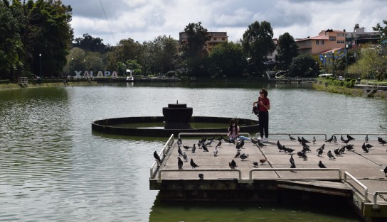 A pesar de la nula promoción turística de parte de los encargados de turismo municipal,xa algunos paseantes por fotos o publicaciones en las redes sociales aún vienen con la esperanza de encontrar lugares bonitos en Xalapa.