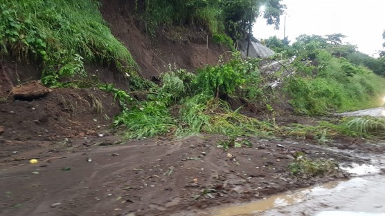 De acuerdo con la titular de la Secretaría de Protección Civil, Guadalupe Osorno Maldonado, desde temprano se inició con la evacuación de las familias en estas regiones rumbo al sur de Veracruz y mantenerse alerta y acudir a los refugios temporales.