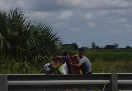 Un grupo de personas aprovecharon que se volcó un tráiler cargado de cerveza justo en el kilómetro 73 de la autopista La Tinaja- Cosamaloapan para llevarse las cajas que salvaron en el percance.