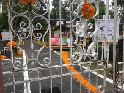 Comienza a llenarse la ciudad de motivos para Días de Muertos. 