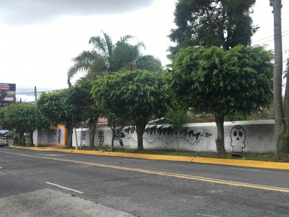 Comienza a llenarse la ciudad de motivos para Días de Muertos. 