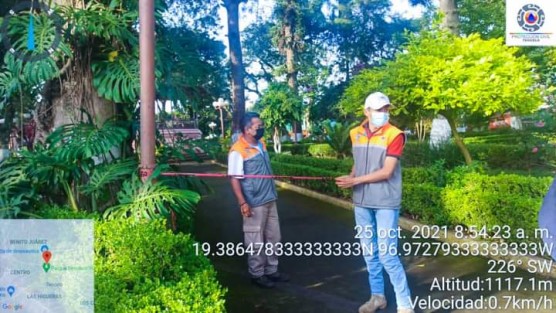 De manera coordinada, personal de Parques y Jardines, Servicios Generales y Protección Civil Teocelo, realizaron la poda y desrame de árboles que presentaban deterioro en ramas y troncos; esto con el objetivo de prevenir accidentes ante el ingreso de fuertes vientos en la temporada de frentes fríos en Veracruz. 