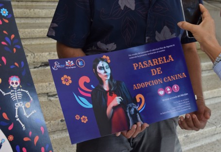 Invitan a la pasarela de adopción el próximo  29 de octubre Hora 6:00 pm. en Inteligencia Educa, Av Rafael Murillo Vidal #250, Cuauhtémoc, 91069

