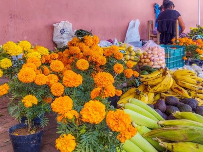 El objetivo es reactivar la actividad económica y comercial de ese municipio, por lo que se invita a la ciudadanía a que acudan a realizar sus compras y adquirir sus insumos en comercios establecidos, mercado y tianguis del municipio, así como en los puestos que tradicionalmente se instalan en estos días.