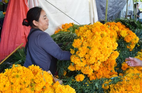 El mercado Alcalde y García mejor conocido como San José de la ciudad de Xalapa,  en esta temporada de día de muertos también se llena de colores, olores y sabores con la llegada de los comerciantes locales y de Puebla que ofertan todos los productos requeridos para el altar de todos santos. 