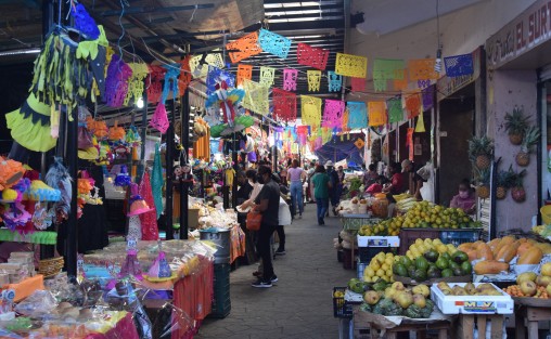El mercado Alcalde y García mejor conocido como San José de la ciudad de Xalapa,  en esta temporada de día de muertos también se llena de colores, olores y sabores con la llegada de los comerciantes locales y de Puebla que ofertan todos los productos requeridos para el altar de todos santos. 