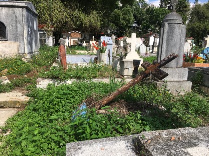 Luego de meses de permanecer cerrados, excepto para inhumaciones, los panteones de Xalapa reabrieron sus puertas en el marco de los Días de Muertos. En el Palo Verde contrastan zonas que han recibido mantenimiento, con las que no.