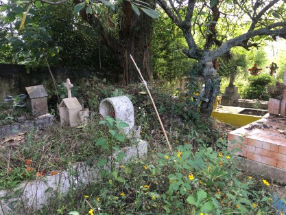 Luego de meses de permanecer cerrados, excepto para inhumaciones, los panteones de Xalapa reabrieron sus puertas en el marco de los Días de Muertos. En el Palo Verde contrastan zonas que han recibido mantenimiento, con las que no.