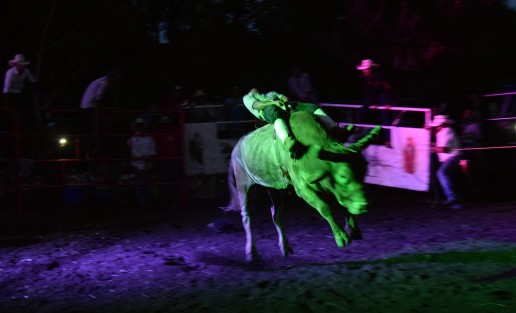 En el rancho Fantasma, propiedad del señor Serafín Lagunes Bravo, en el municipio de San Pablo Coapa, como desde hace cinco años desde las cuatro de la tarde al menos cien personas se dieron cita para festejar a San Judas Tadeo con un jaripeo en su honor.