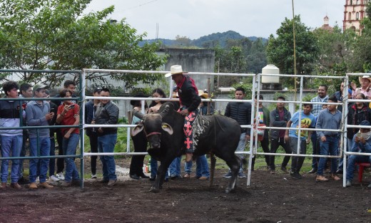 En el rancho Fantasma, propiedad del señor Serafín Lagunes Bravo, en el municipio de San Pablo Coapa, como desde hace cinco años desde las cuatro de la tarde al menos cien personas se dieron cita para festejar a San Judas Tadeo con un jaripeo en su honor.
