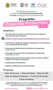 El DIF Estatal Veracruz a través del DIF Municipal Banderilla invita a participar en la convocatoria del programa <em>Proyectos Productivos 2021</em>. 