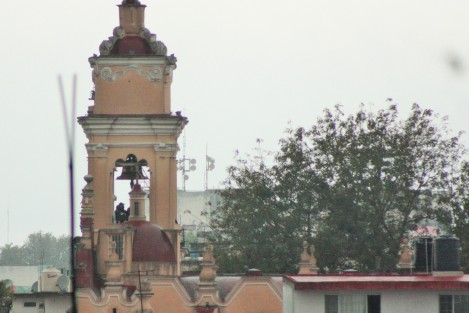 Elementos de la SSP, Bomberos y ambulancias estuvieron presentes en el lugar. Fue un oficial de la SSP quien le proporcionó un teléfono al joven para que llamara a un familiar, y luego de ello accediera a descender. 