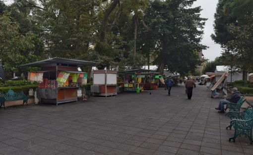 El alcalde de Xalapa, Hipólito Rodríguez Herrero, confirmó que fueron las autoridades municipales y estatales quienes decidieron quitar las vallas del parque Juárez, debido a que el semáforo epidemiológico está en verde, y a los pocos contagios que hay en la ciudad capital.