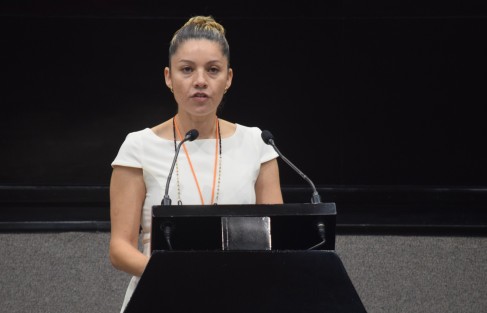 La diputada Maribel Ramírez Topete, integrante de la LXVI Legislatura del Estado, presentó una iniciativa con proyecto de decreto que reformaría diversas disposiciones de la Ley Orgánica de la Fiscalía General del Estado de Veracruz con el objeto de crear la Fiscalía Especializada en Delitos de Violencia Contra la Mujer, dotada de autonomía de atención, acción y decisión para investigar y perseguir delitos por razones de género.