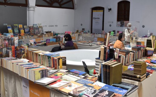 En la Galería de Arte Contemporáneo de Xalapa se lleva a cabo el Festival Diente de león, Los libros viajan hacia ti, del 24 al 28 de noviembre, en modalidad presencial.