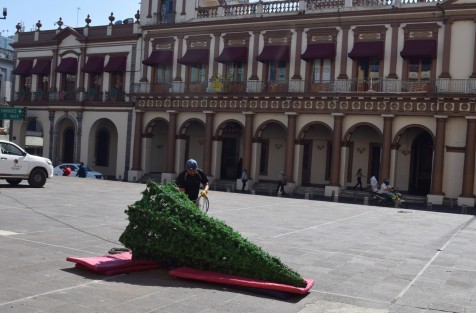 Mientras en  otras ciudades de la entidad desde hace días se han realizado eventos de encendido de luces navideñas, por fin este lunes inició la colocación del árbol en la Plaza Lerdo de Xalapa.