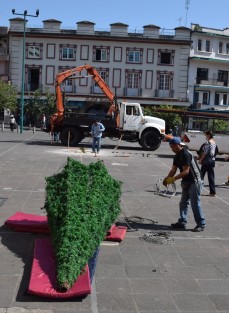 Mientras en  otras ciudades de la entidad desde hace días se han realizado eventos de encendido de luces navideñas, por fin este lunes inició la colocación del árbol en la Plaza Lerdo de Xalapa.