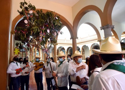 Empleados de SEDEMA cantaron la rama en las distintas oficinas de gobierno con el fin de que esta tradición Veracruzana no muera... ¿o será que todavía no les pagan el correspondiente? 