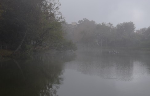Por la mañana y a mediodía, una intensa neblina, a consecuencia  del Frente Frío 14, cubrió algunas zonas de la Capital.