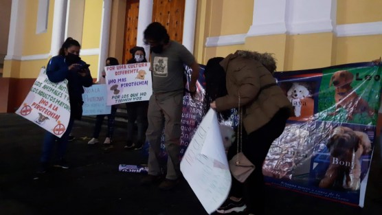 Un grupo de animalistas protestó en Plaza Lerdo contra el uso de pirotecnia, debido al daño que la misma provoca en animales, señalando que también personas con espectro autista y otras condiciones son afectadas por el mismo  motivo. 