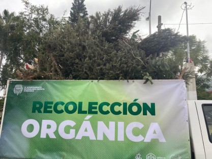 Son un total de 32 municipios los que se sumaron a la campaña <em>Recicla Tu Navidad</em> con 80 centros de acopio, y el objetivo es evitar que los árboles lleguen a los rellenos sanitarios donde solo generaran gas metano y lixiviados. 