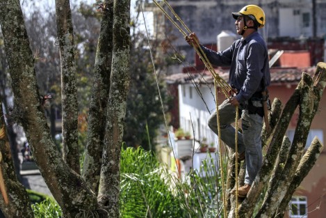 con la colaboración de vecinas y vecinos del Andador Rubí, en la unidad habitacional Fovissste, se realizó una jornada comunitaria de limpieza, mediante la que se hicieron trabajos de chapeo, mejoramiento del arbolado urbano y retiro de desechos, como parte de las acciones de recuperación y mantenimiento permanente que se tendrá en las áreas verdes del municipio. 