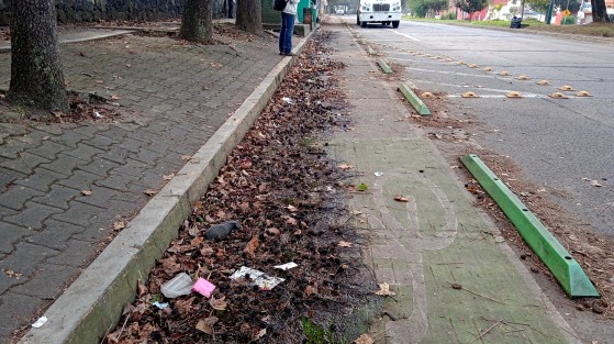 Sin limpieza la ciclovía en Ruiz Cortines, a la altura de la Unidad de Ciencias de la Salud UV. 