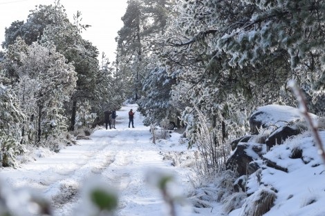 Así luce el Cofre de Perote en su primera nevada ocasionada por el frente frío número 21. 

