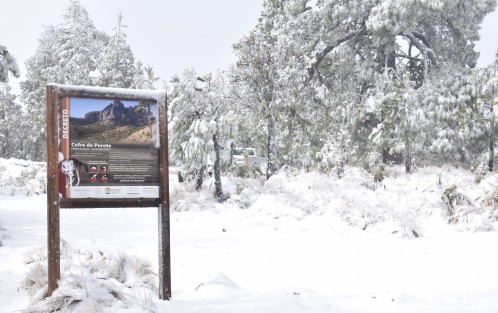 Así luce el Cofre de Perote en su primera nevada ocasionada por el frente frío número 21. 

