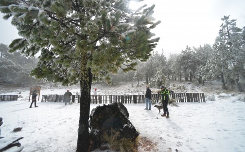 Alrededor de 200 vehículos con familias subieron para apreciar la nieve; Protección Civil permitió el acceso sólo de 8 am a 3 de la tarde, solicitando evitar llevar bebés, diabéticos, hipertensos y enfermos del corazón; además no adentrarse en el  bosque y portar ropa y zapatos adecuados.